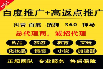搜索引擎营销（SEM）的广告创意与落地页设计——以某成功创业公司的实践为例